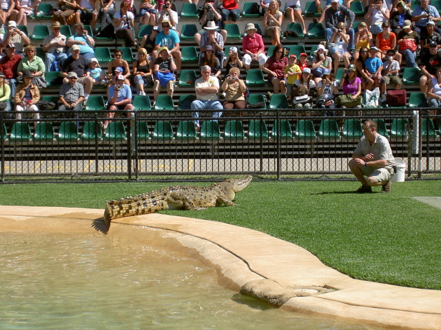 Feeding time picture